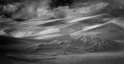 Great Sand Dunes National Park #0138