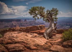 Dead Horse Point 7601